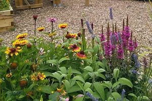 Chorlton-community-garden